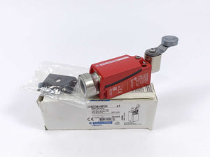 TELEMECANIQUE XCSD3919P20 Safety limit switch