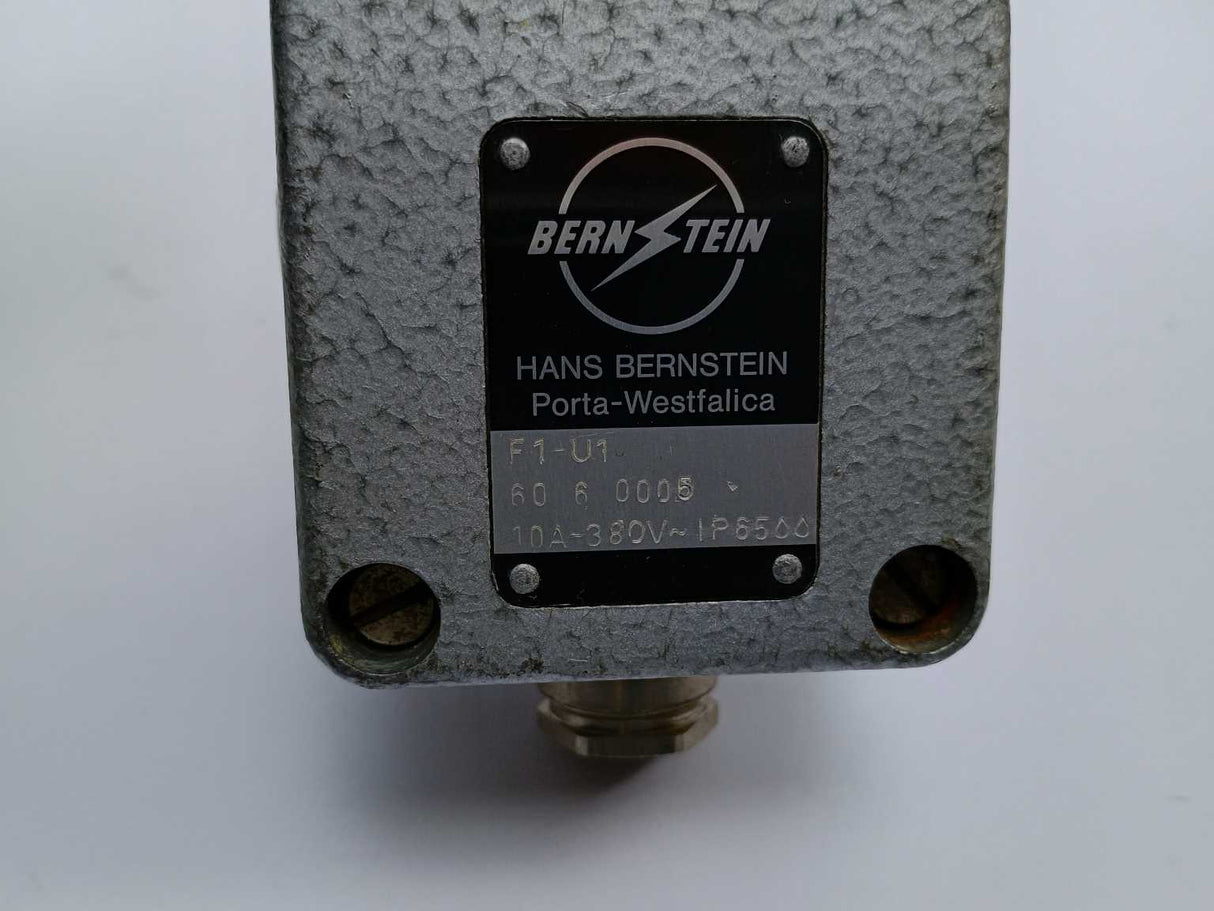 Bernstein F1-U1 Single Pedal Foot Switch