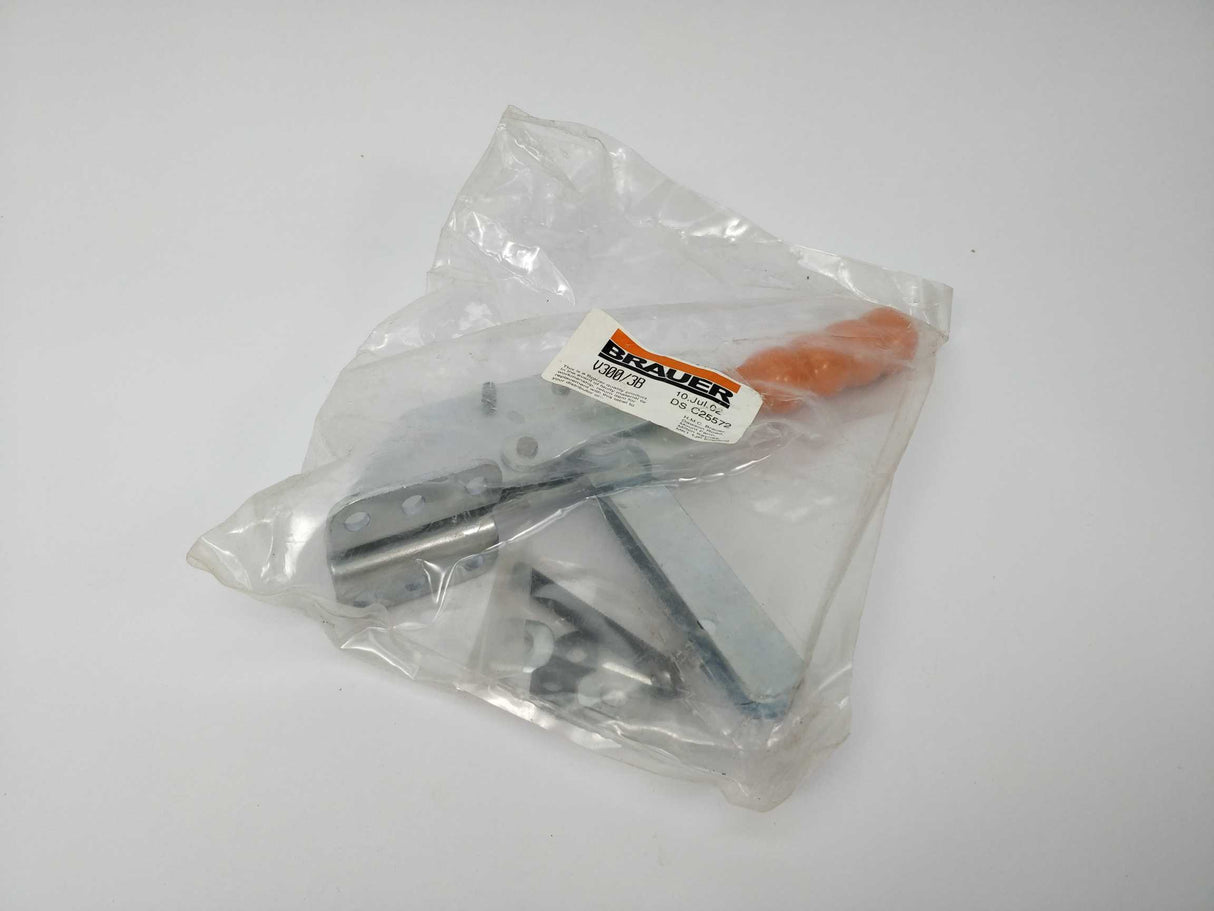 Brauer V300/3B Vertical Toggle Clamp