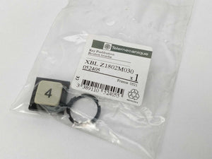 TELEMECANIQUE XBL Z1802M030 Key pushbutton 052405